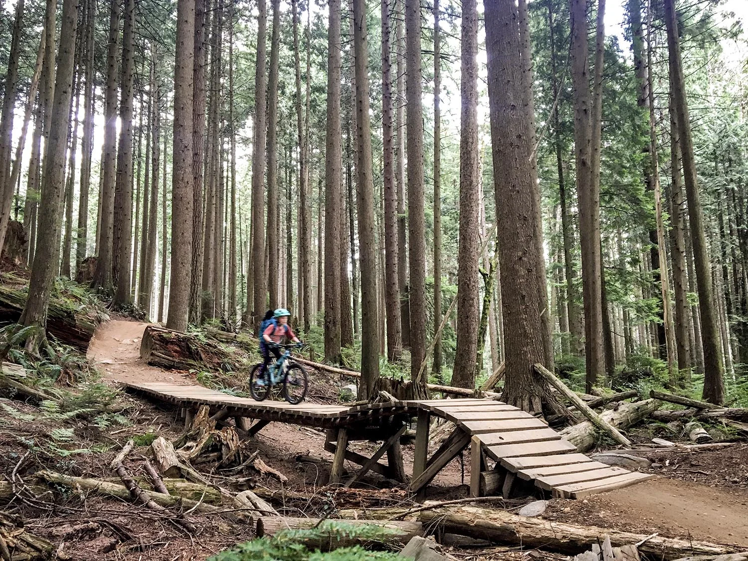 Mountain bike camps north vancouver hotsell